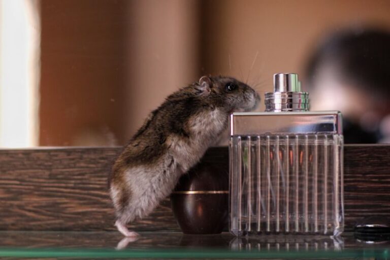 Hamster Bottles - brown and gray mice on fragrance bottle