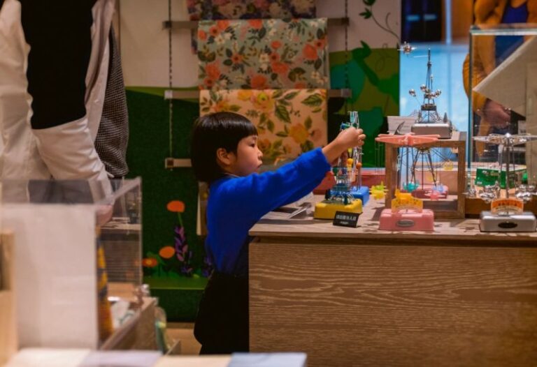 Hamster Toys - boy in blue long sleeve shirt standing beside brown wooden table