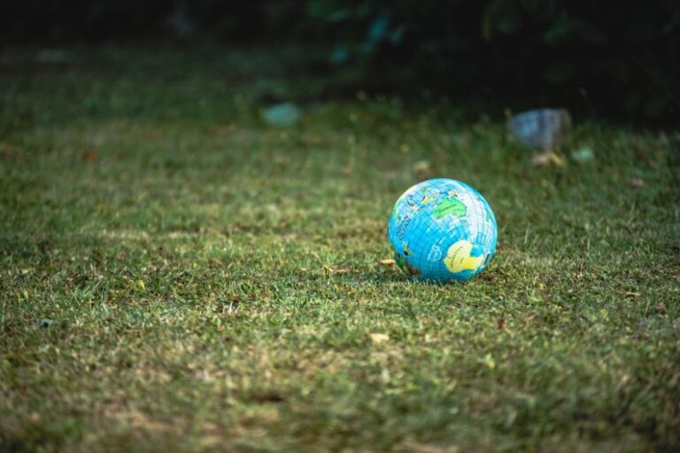 Hamster Ball - blue and white desk globe on green grass field during daytime