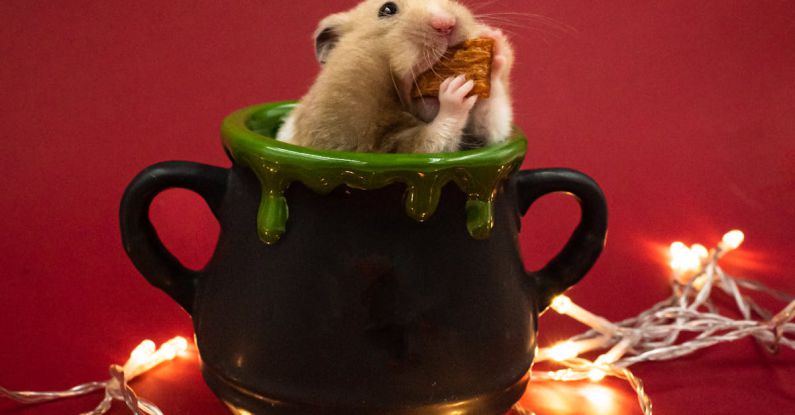 Hamster Factors - Hamster with Chocolate in Mug