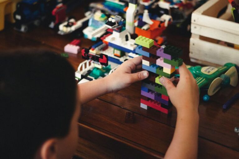 Hamster Toys - child playing with lego blocks