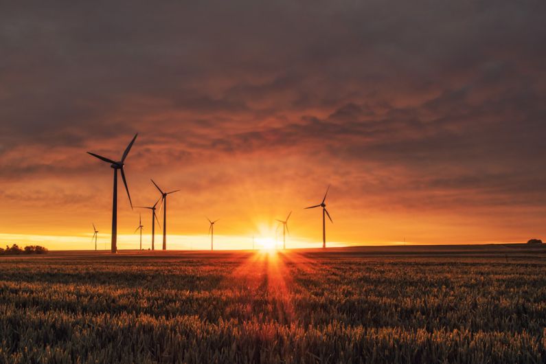 Hamster Environment - windmill on grass field during golden hour