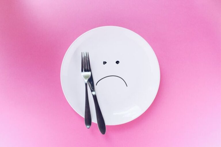 Hamster Diet - silver fork and knife on plate