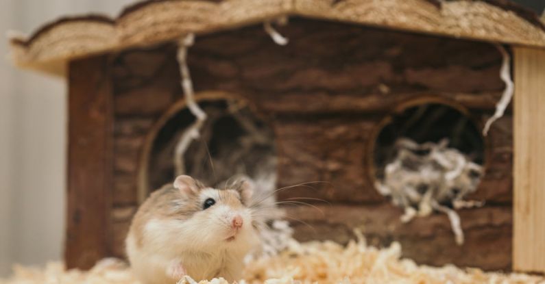 Hamster Techniques - Macro Photography of Mouse near Brown Wooden Cage