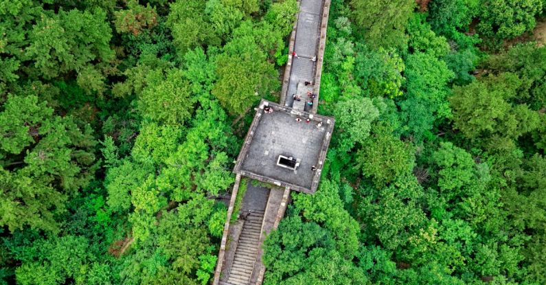 Hamster Reinforcement - Aerial View Photography Of Great Wall Of China