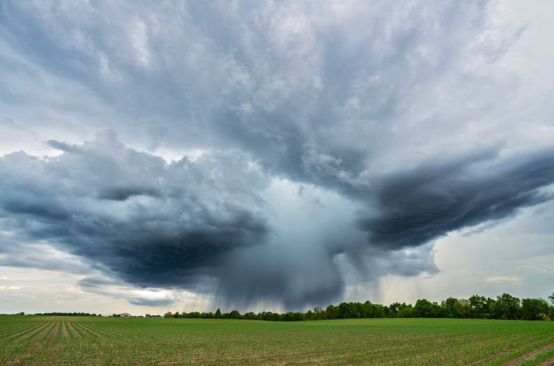 Hamster Environment - microburst thunderstorm