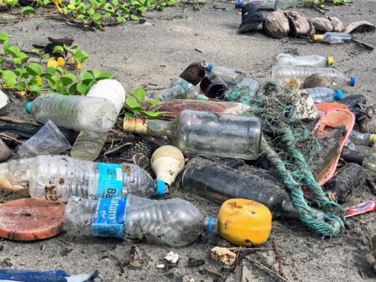 Hamster Environment - assorted garbage bottles on sandy surface